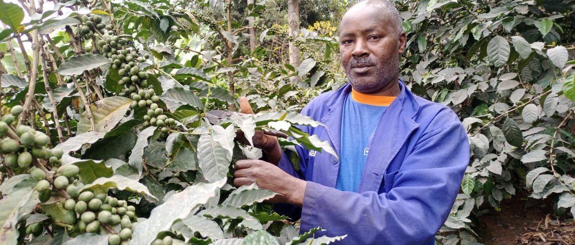 GROUNDED GOVERNANCE FOR PROFITABILITY HOW TRAINING HAS TRANSFORMED